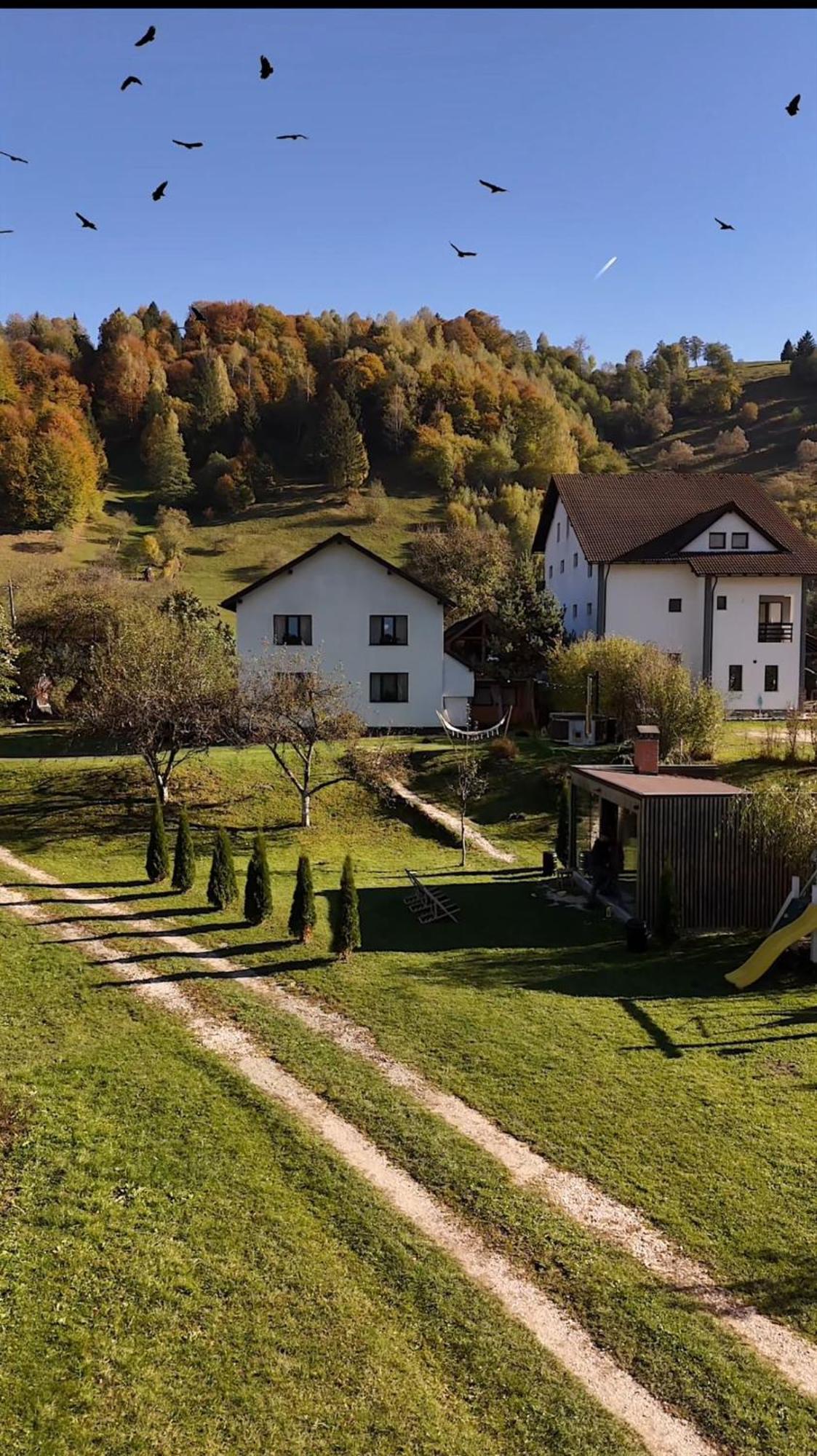 Rdt Guest House-Rai Din Transilvania Moieciu de Jos Exterior photo